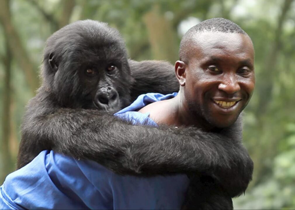 #16. Virunga (2014)